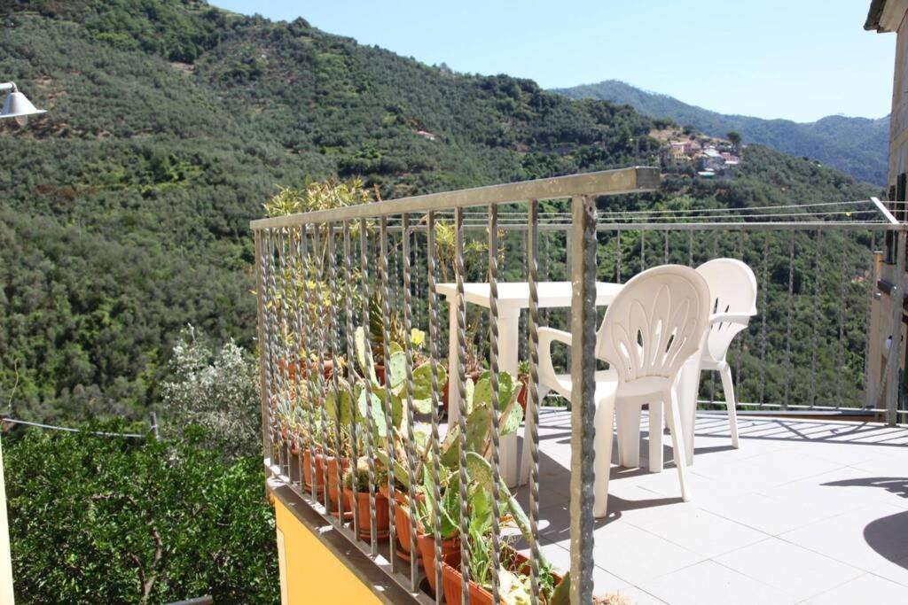 Le case della Lizza - Casa Verde Levanto Esterno foto